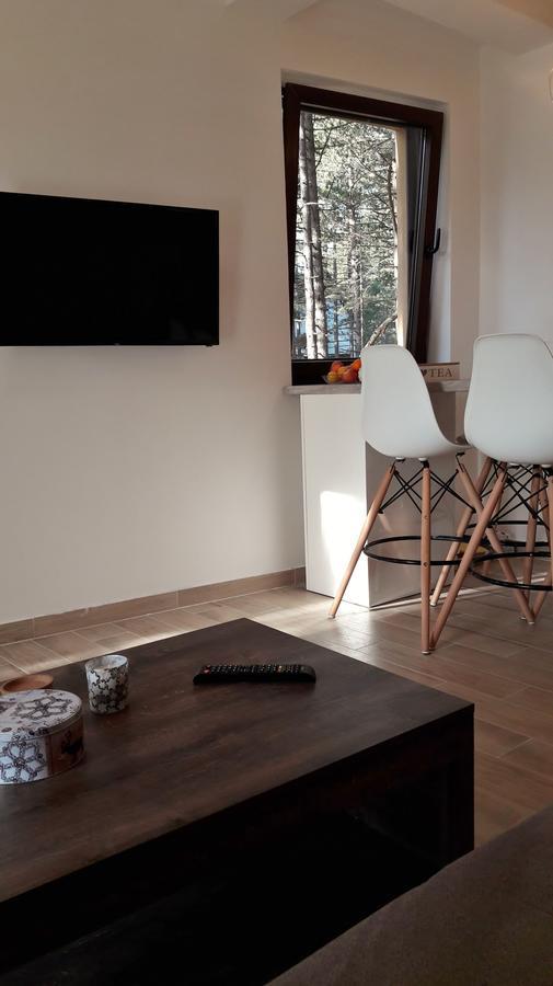 Appartement Zlatibor Wood Extérieur photo