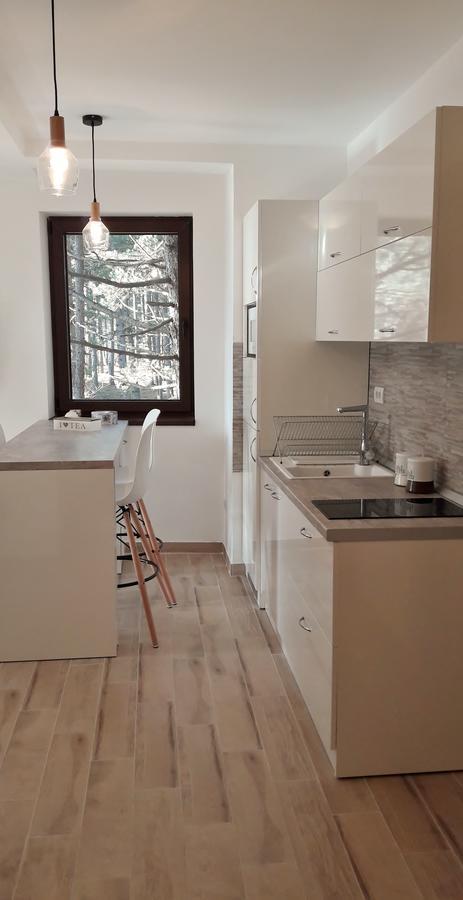 Appartement Zlatibor Wood Extérieur photo